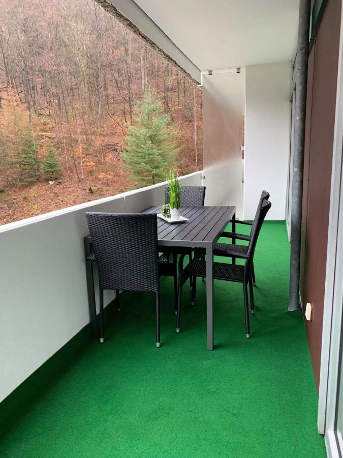 Mariposa inclusive Pool und Sauna Bad Harzburg Exterior foto